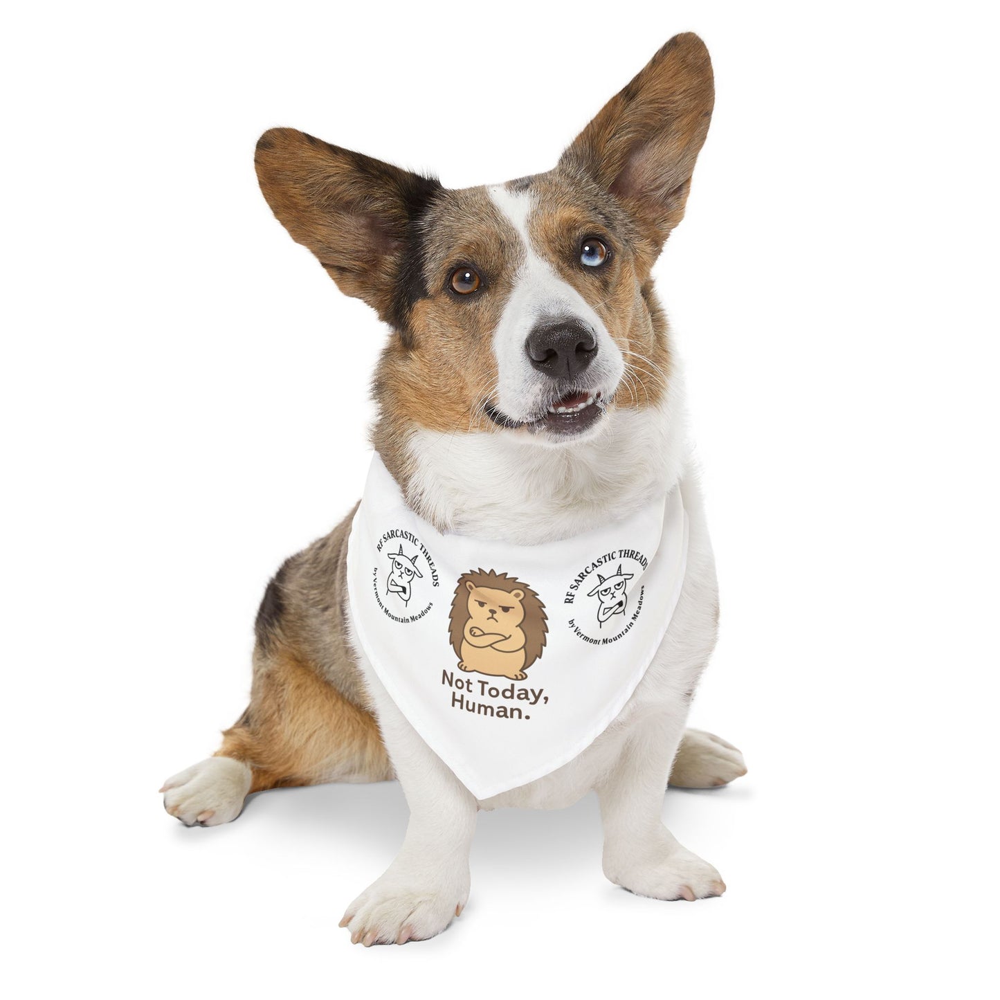 Pet Bandana Collar — "Not Today, Human" Grumpy Hedgehog Dog Bandana for Funny Pet Gift