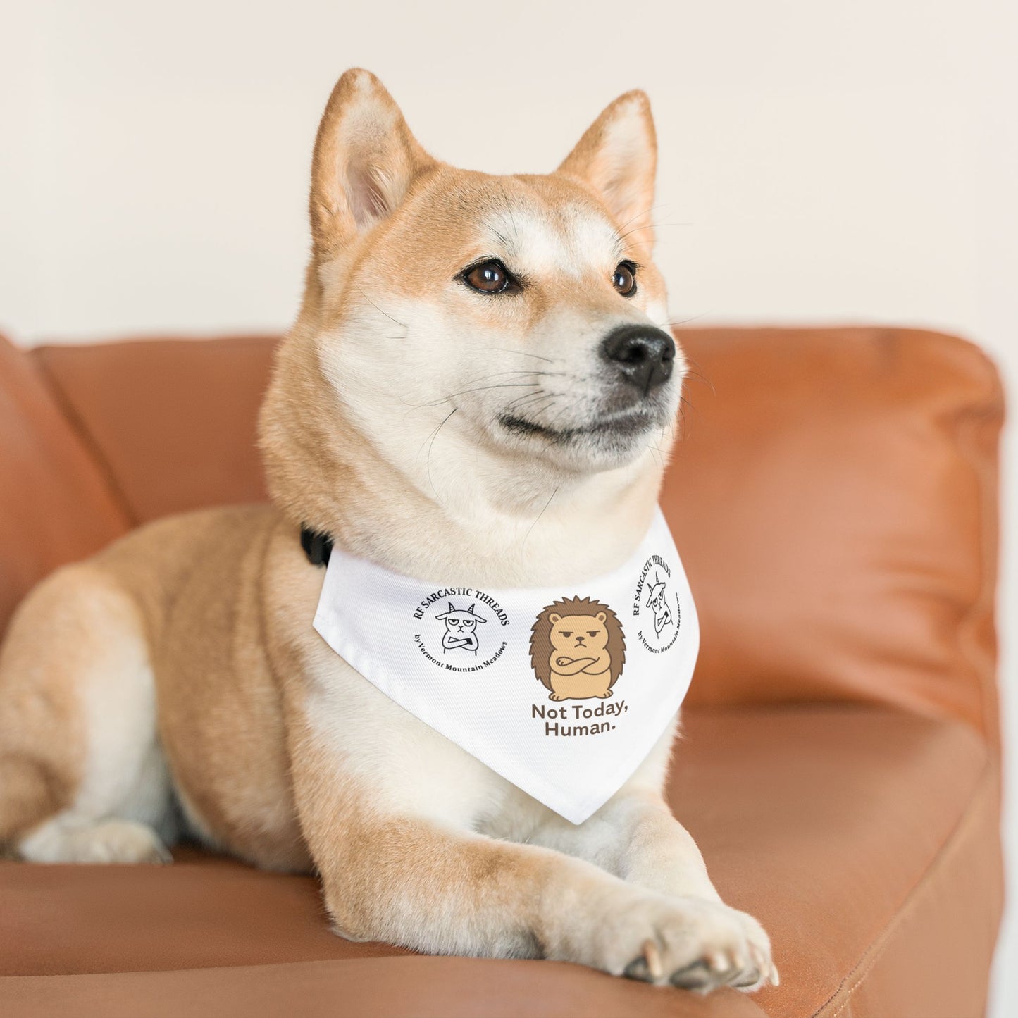 Pet Bandana Collar — "Not Today, Human" Grumpy Hedgehog Dog Bandana for Funny Pet Gift