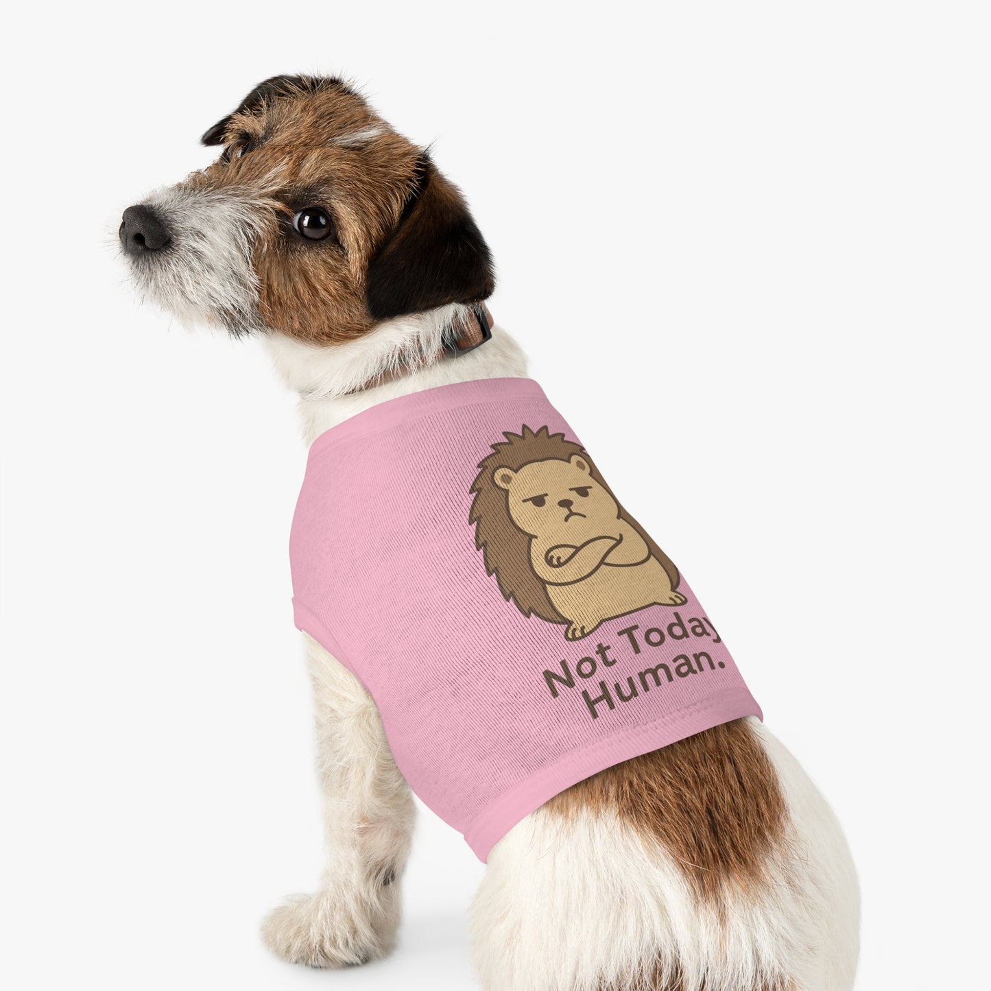 Pet Tank Top — Grumpy Hedgehog "Not Today, Human" Cute Pet Shirt