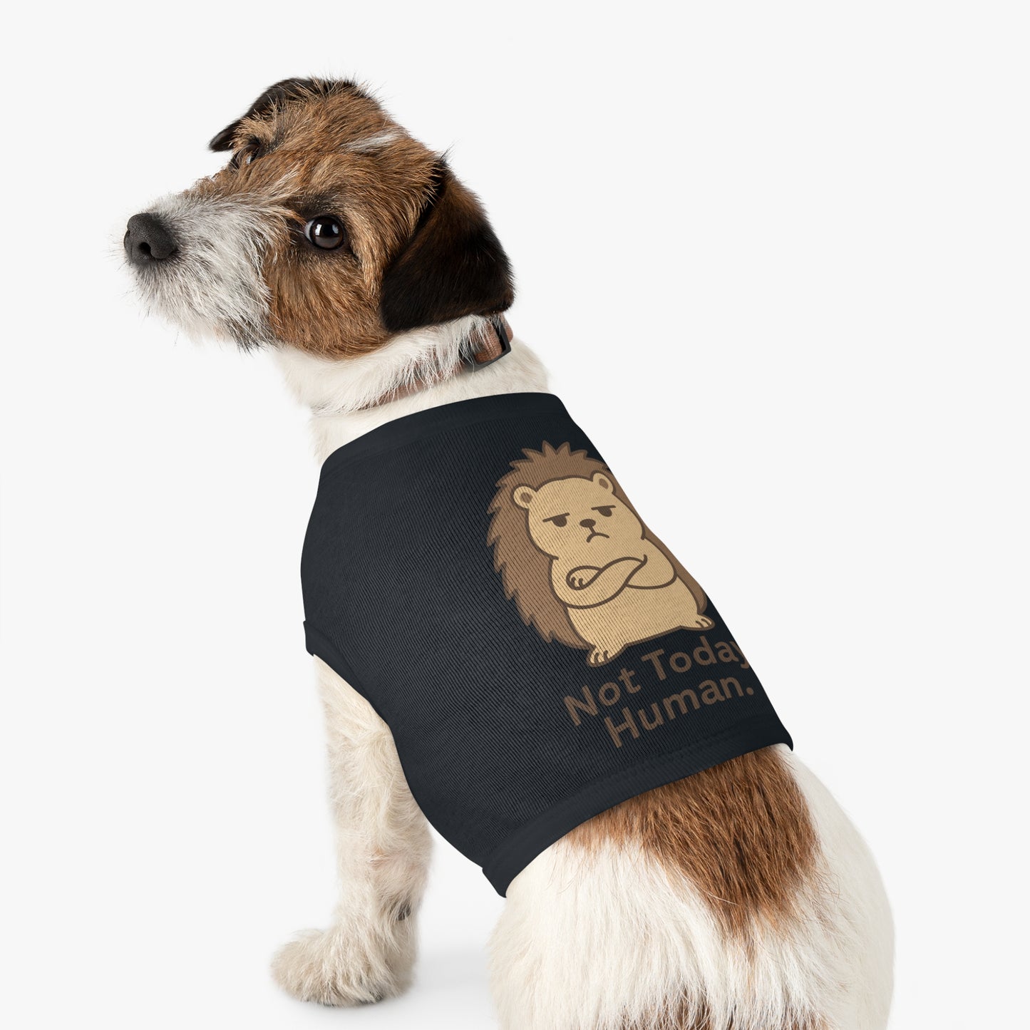 Pet Tank Top — Grumpy Hedgehog "Not Today, Human" Cute Pet Shirt