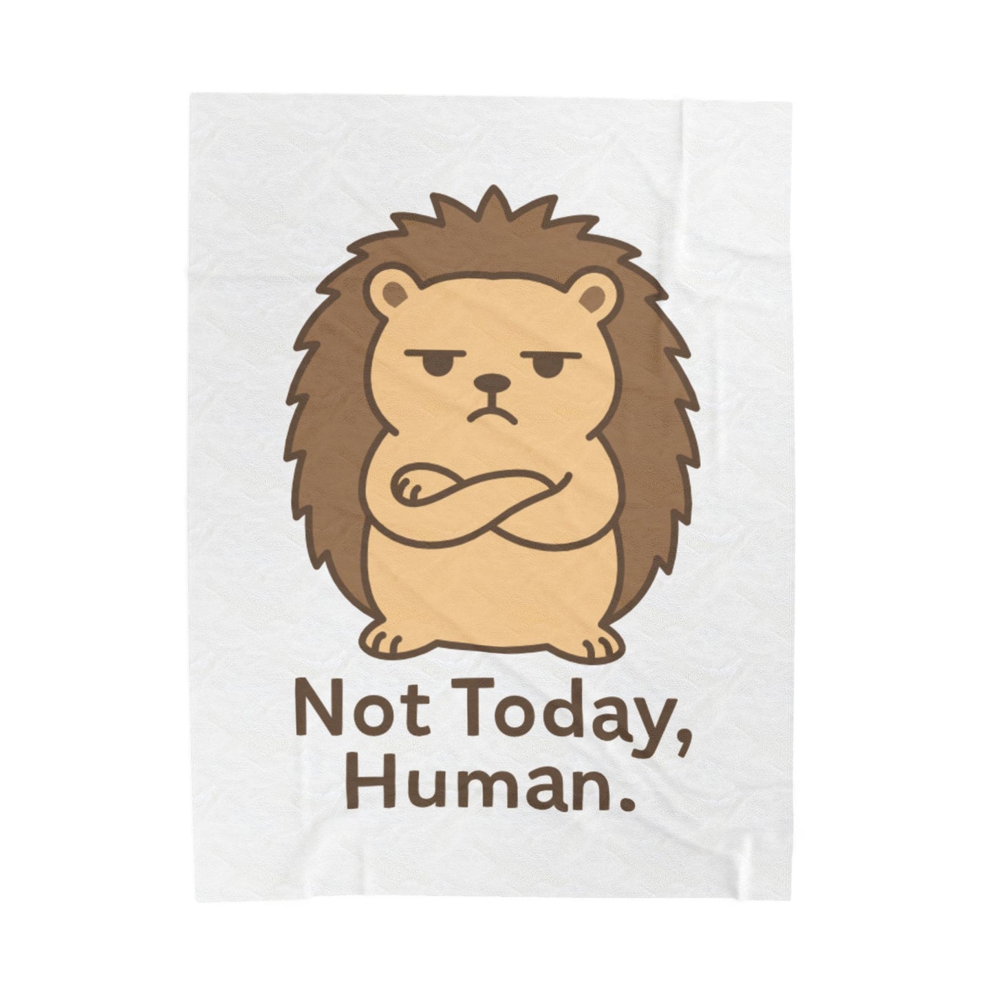 Velveteen Plush Blanket — Cute Grumpy Hedgehog "Not Today, Human." Cozy Throw for Lazy Days, Gifts & Self-Care