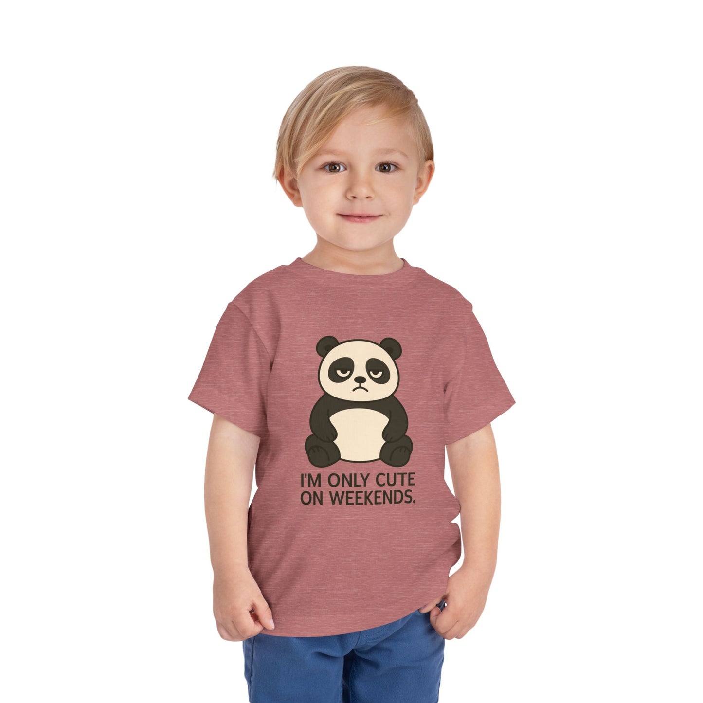 Funny Sarcastic Toddler Tee – Attitude Toddler Short Sleeve Shirt