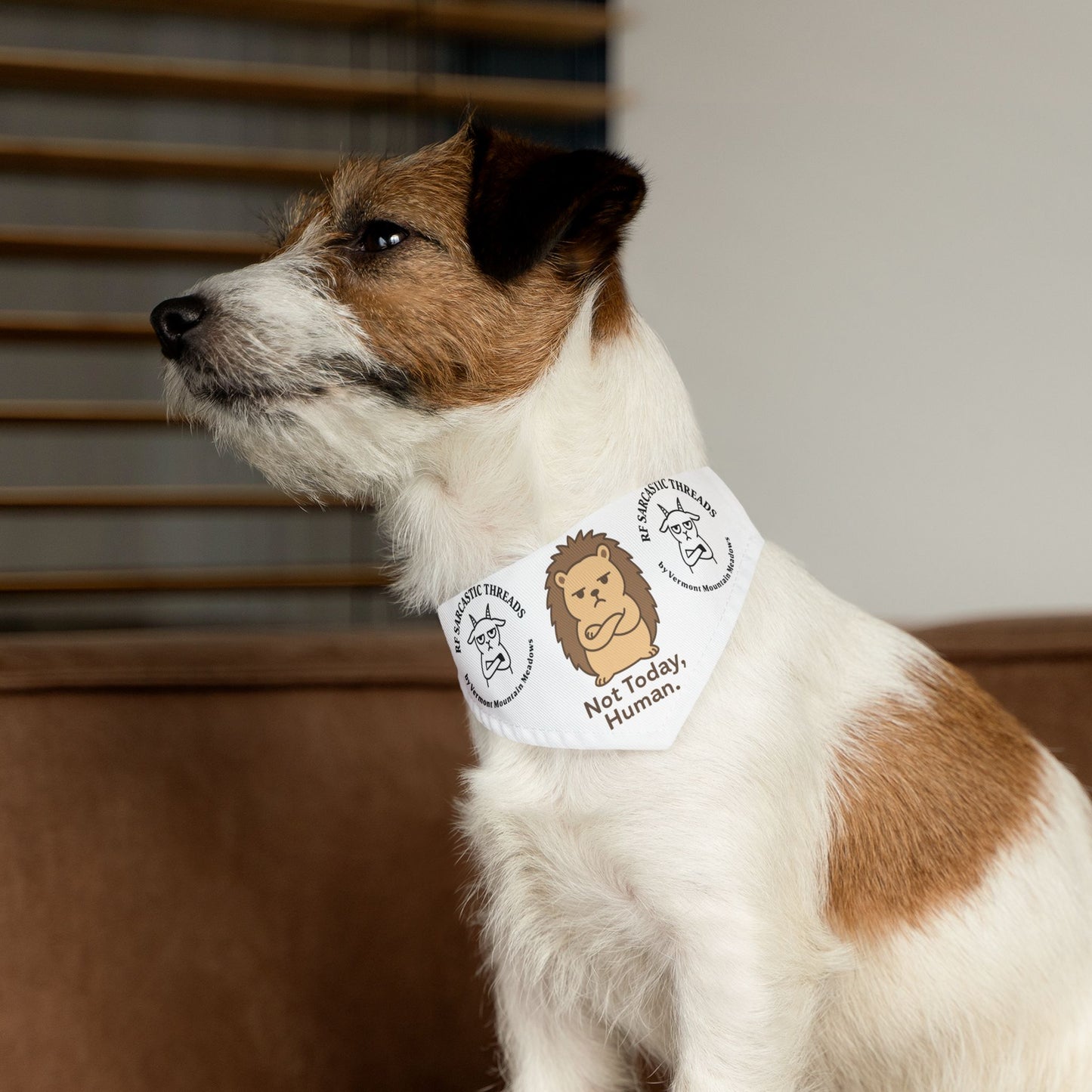Pet Bandana Collar — "Not Today, Human" Grumpy Hedgehog Dog Bandana for Funny Pet Gift