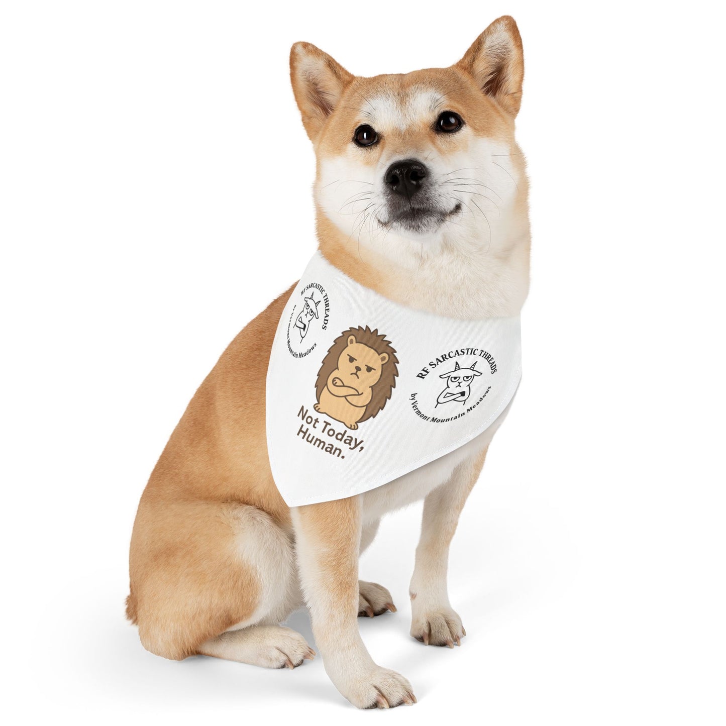 Pet Bandana Collar — "Not Today, Human" Grumpy Hedgehog Dog Bandana for Funny Pet Gift