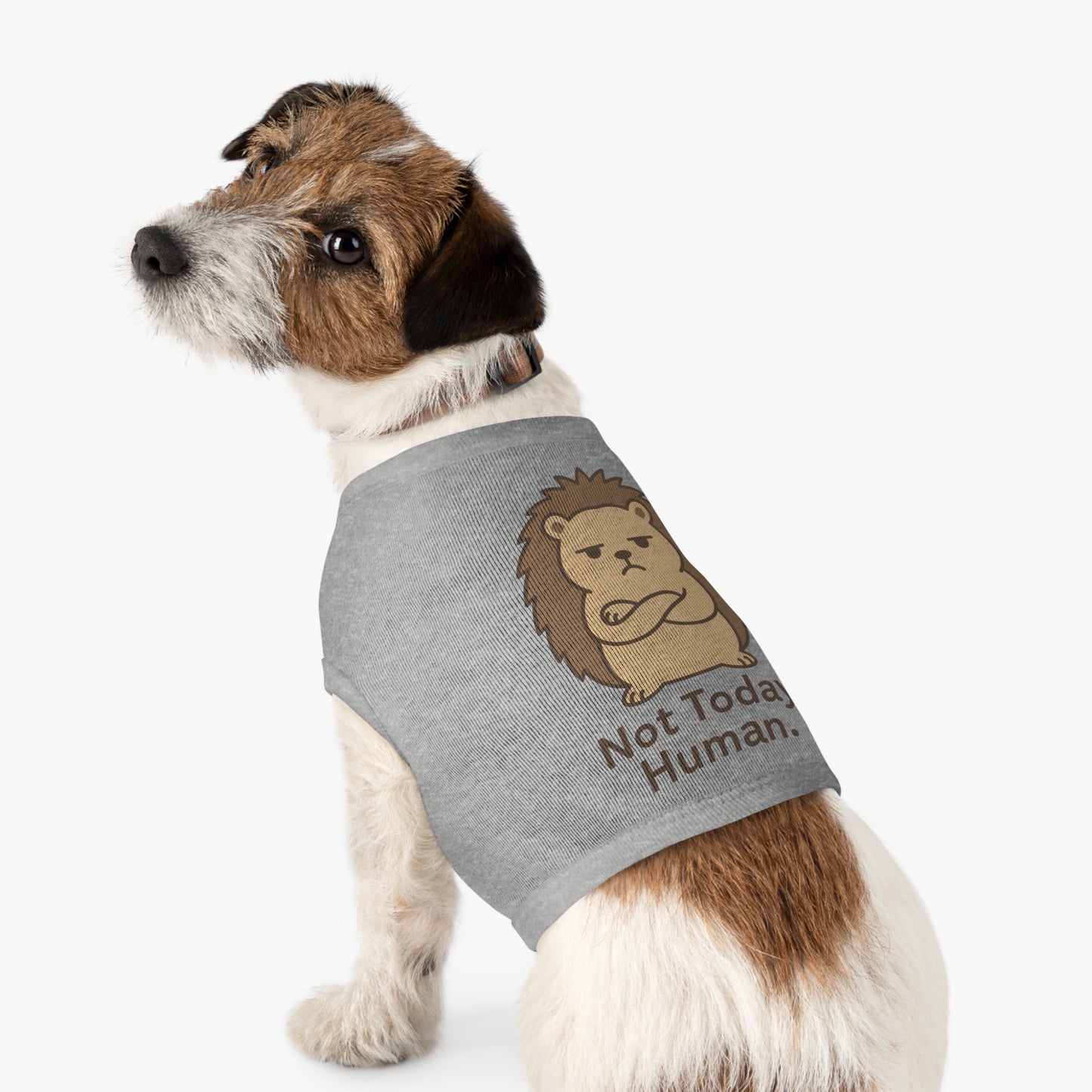 Pet Tank Top — Grumpy Hedgehog "Not Today, Human" Cute Pet Shirt