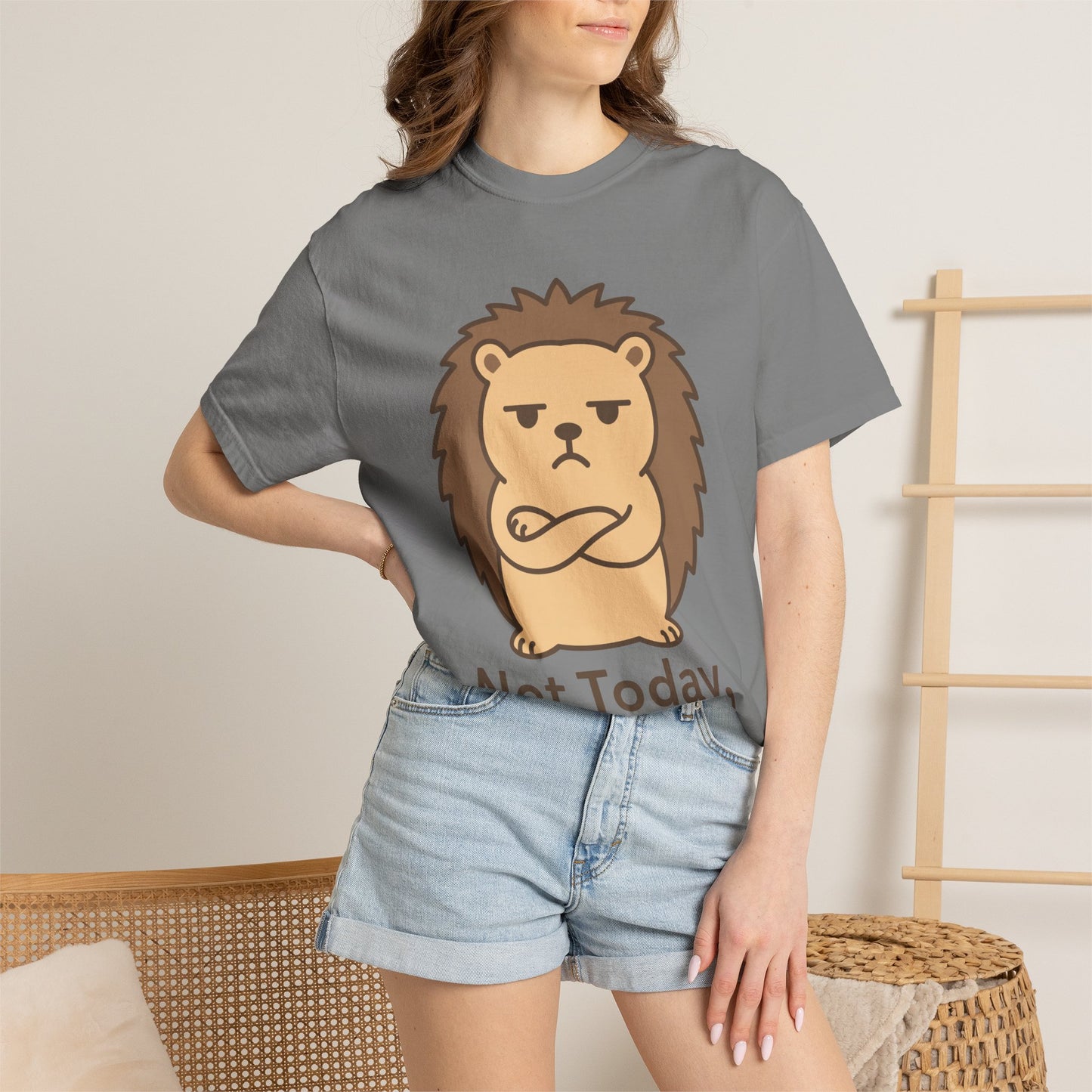 Hedgehog “Not Today, Human” T-Shirt – Funny Sarcastic Graphic Tee