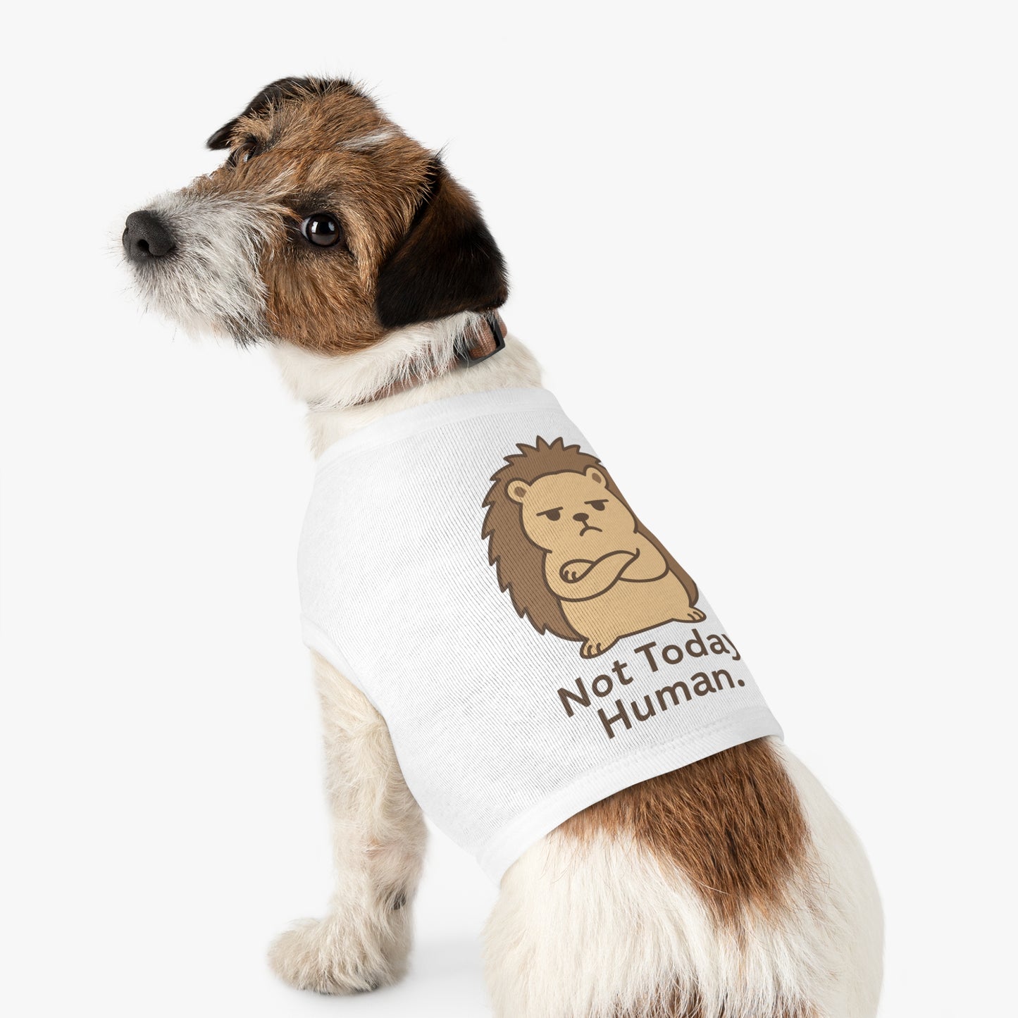 Pet Tank Top — Grumpy Hedgehog "Not Today, Human" Cute Pet Shirt