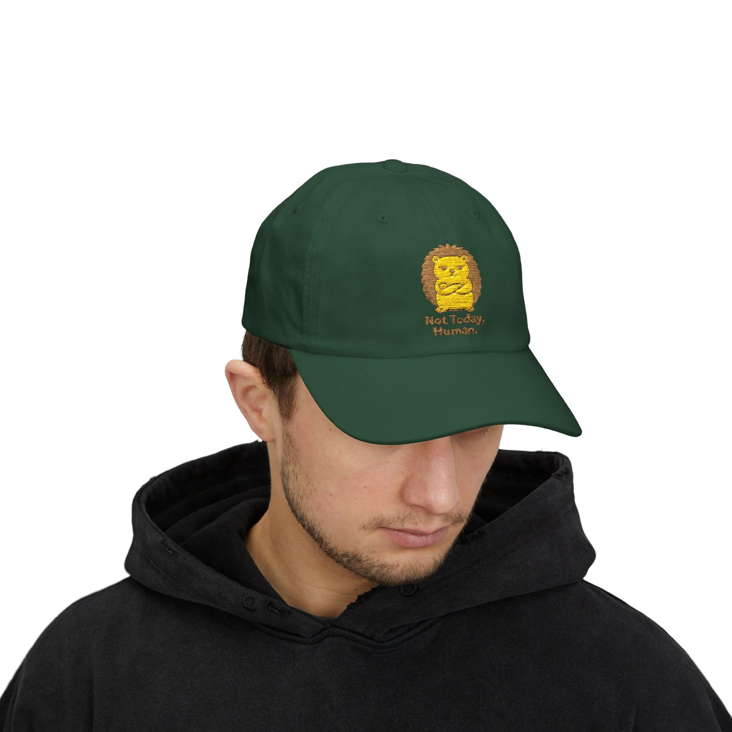 Dad Cap — "Not Today, Human" Cute Grumpy Hedgehog Embroidered Hat