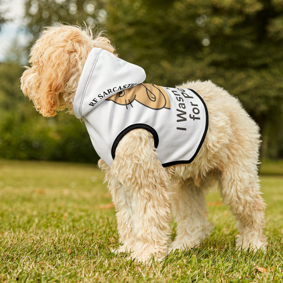 Pet Hoodie — "I Wasn't Made for People" Funny Cat Graphic